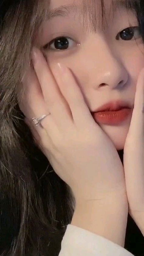鳄鱼莱莱